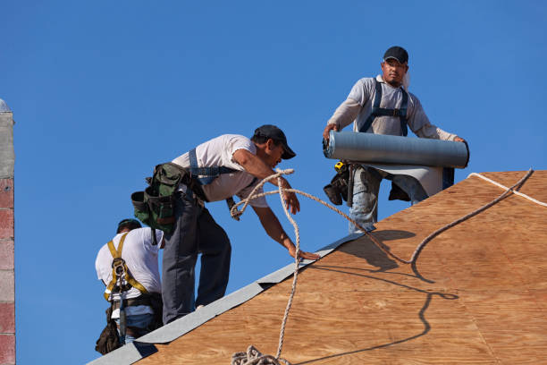Best Roof Leak Repair  in Miami Springs, FL