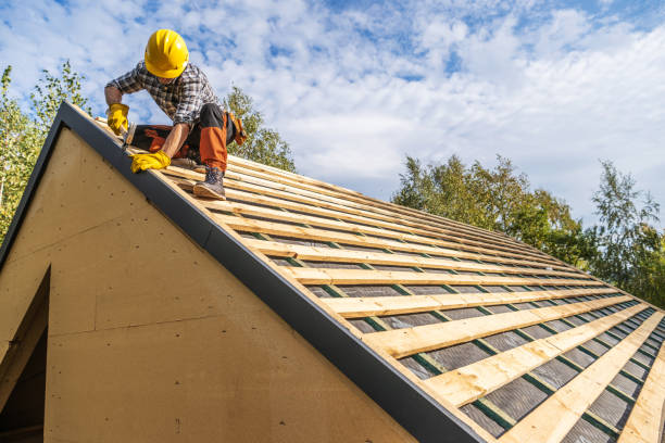 Best Gutter Installation and Roofing  in Miami Springs, FL